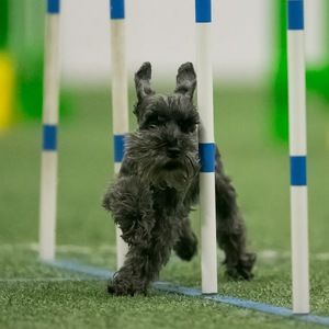 Meet your Posher, Angie